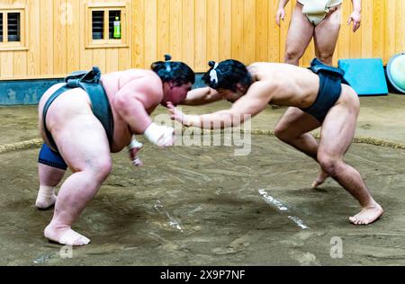 Two sumo wrestlers face off in a match, showcasing the intense focus and strength of this ancient sport Stock Photo