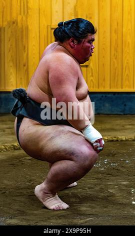 A sumo wrestler poses in mawashi belt, preparing for a match in a dojo Stock Photo