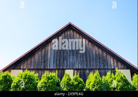A vivid portrayal of a rustic wooden barn's top facade, accented by weathered wooden planks, under the tranquility of a blue sky, flanked at the base Stock Photo