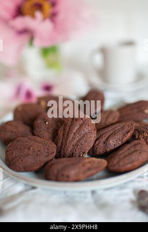 Madeleine with chocolate. Traditional French small cakes Stock Photo