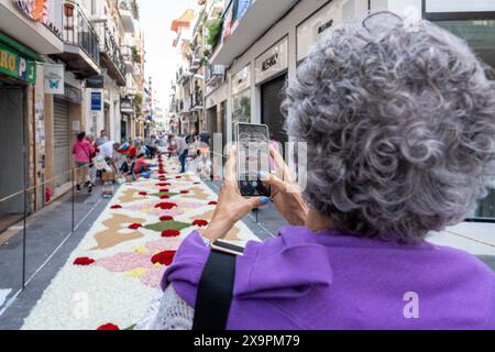 Sitges, Spain. 02nd June, 2024. A woman seen taking a picture of the street decorated flowers during the celebration of the Corpus Christi festival. Approximately 370,000 carnations are used, 2 tons of skin, 500 square meters of grass and 500 square meters of cypress. Corpus Christi in Sitges was declared a Heritage Festival of National Interest. Credit: SOPA Images Limited/Alamy Live News Stock Photo