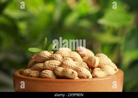 Fresh unpeeled peanuts in bowl against blurred background, closeup Stock Photo