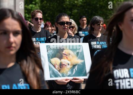 National Animal Rights Day at Wellington Arch London Stock Photo - Alamy