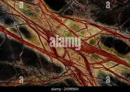 Beautiful Rainforest Green Extra marble texture in modern dark colors. Stock Photo