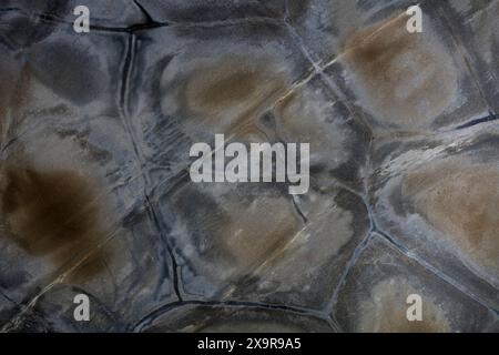 Quartzite background in your admirable grey color. Stock Photo