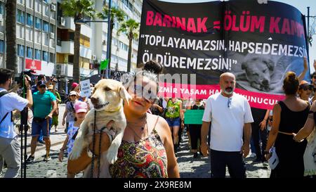 Izmir, Turkey. 02nd June, 2024. Animal rights activists came together in many provinces of Turkey today and protested the changes that is planning to make in the 'Animal Protection Law'. Initiatives, animal rights advocates and the Izmir Bar Association spoke at the Justice Rally and opposed the law. If the law is adopted, stray dogs whose population has increased will be collected, and if they are not adopted within 30 days, they will be euthanized. Credit: İdil Toffolo/Alamy Live News Stock Photo