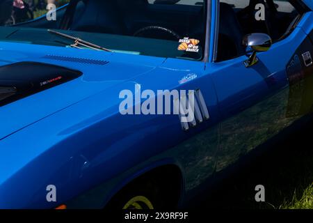 Mustang grill badge at Hanley car meet Stock Photo - Alamy