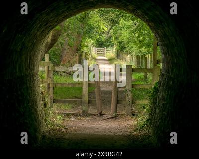 Exit from tramway brick lined tunnel footpath and cycleway, Ticknall Limeyards, Derbyshire, England, UK Stock Photo