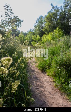 The road goes into the distance Stock Photo