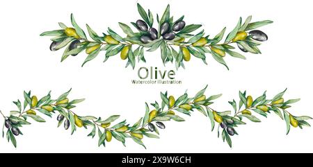 Garland. Watercolor Olive Twigs with Fruits and Leaves. Black and Green ...