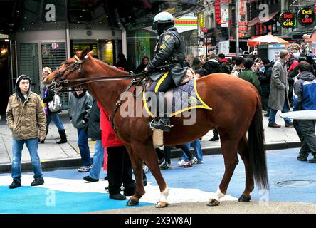 Pedestrians look on while NYPD Horse smells what's cooking in Times Square, NYC, USA, America Stock Photo