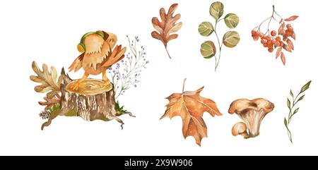 Set Elements on Autumn Theme. Cute Owl and Various Bright Leaves, Rowan, Mushrooms. Watercolor illustration. Design Elements For Home Textiles, Websit Stock Photo
