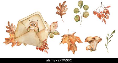Set Elements on Autumn Theme. Cute Owl in Vintage Cover and Various Bright Leaves, Rowan, Mushrooms. Watercolor illustration. Design Elements For Home Stock Photo