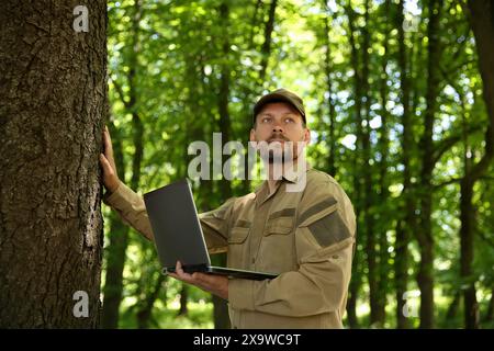 Forester with laptop examining tree in forest Stock Photo