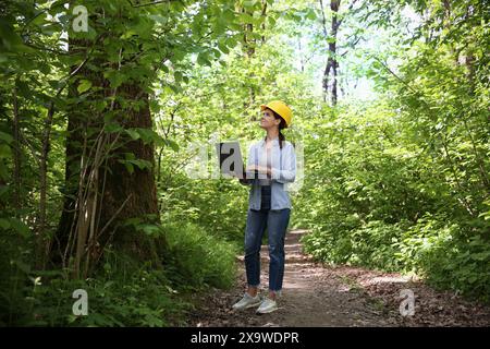 Forester with laptop examining plants in forest Stock Photo