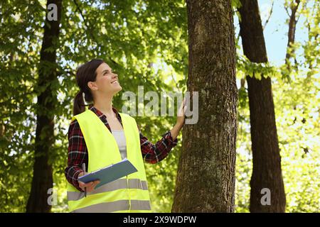 Forester with clipboard examining tree in forest Stock Photo