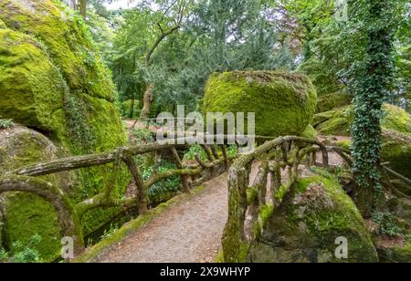 Enchanted forest landscape with large mossy boulders and fenced walking trails in the Lake of the Good Jesus Park in Braga, Portugal. Stock Photo
