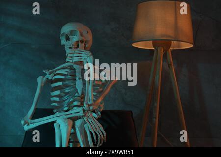 Waiting concept. Human skeleton sitting in armchair indoors Stock Photo