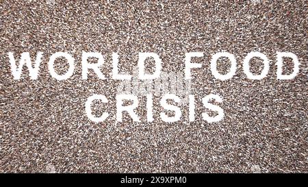 Conceptual large community of people forming the WORLD FOOD CRISIS message.  3d illustration metaphor for  shortage, drought,  recession Stock Photo