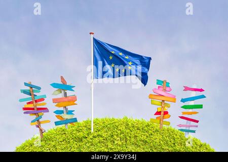 Official EU flag on grass with empty wooden direction signs Stock Photo