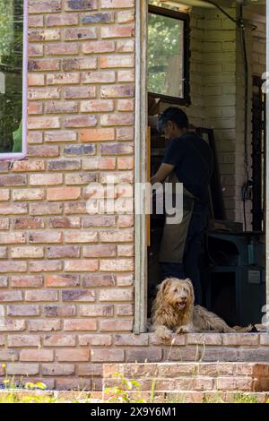 A mixed breed dog sitting at the threshold of a carpentry workshop, while the carpenter works inside, in a farm in the eastern Andean mountains Stock Photo
