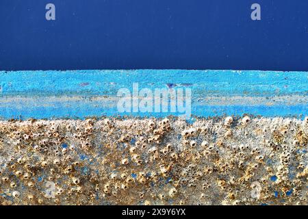 Natural sand colour texture of barnacle growth under the waterline on the blue hull of a boat. Stock Photo