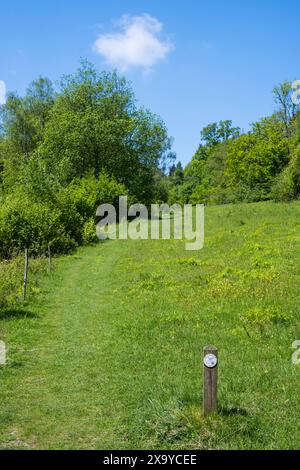 Warburg Nature Reserve, Henley-on-Thames, Oxfordshire, England, UK, GB. Stock Photo