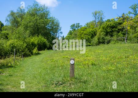 Warburg Nature Reserve, Henley-on-Thames, Oxfordshire, England, UK, GB. Stock Photo