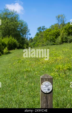 Warburg Nature Reserve, Henley-on-Thames, Oxfordshire, England, UK, GB. Stock Photo