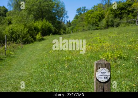 Warburg Nature Reserve, Henley-on-Thames, Oxfordshire, England, UK, GB. Stock Photo