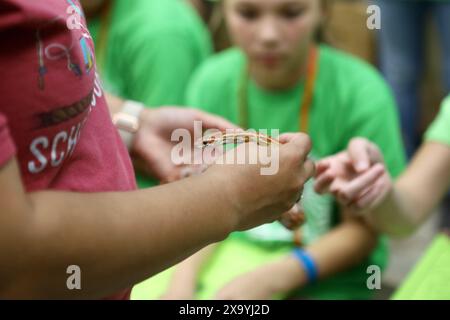 A person holding a snake with people reaching to it Stock Photo