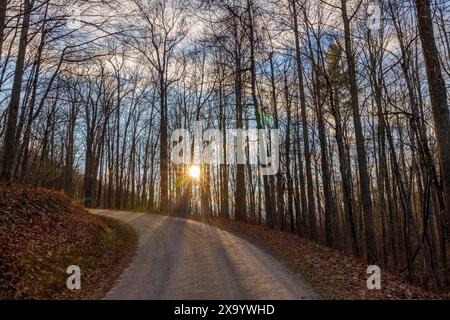 A rural road winding through a wooded area Stock Photo