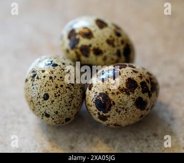 A closeup of three quail eggs on a table. Stock Photo