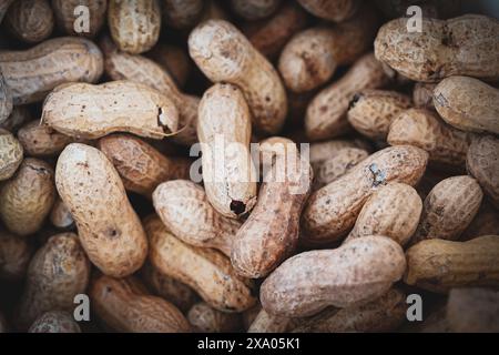 A closeup macro of some peanuts in the shell. Stock Photo