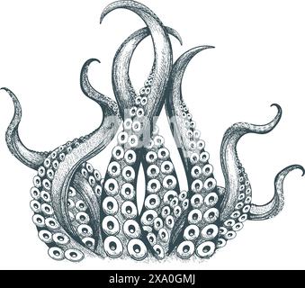 Hand drawn engraving octopus tentacles Stock Vector