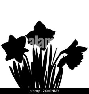 Daffodil or narcissus flower silhouettes. Blooming spring flowers vector illustration. Stock Vector