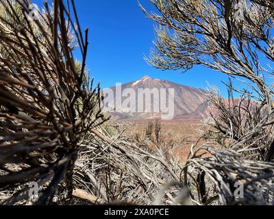 A sunny day view from Tenerife fills Stock Photo