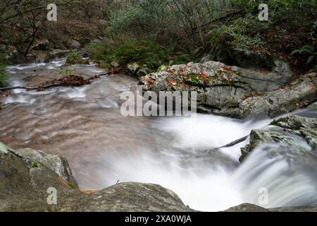A close-up view of a small stream captured in long exposure, with silky water cascading over stones amidst the autumnal setting. Navarra. Stock Photo