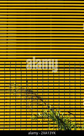 Green metallic grid in front of yellow metallic stripes Stock Photo