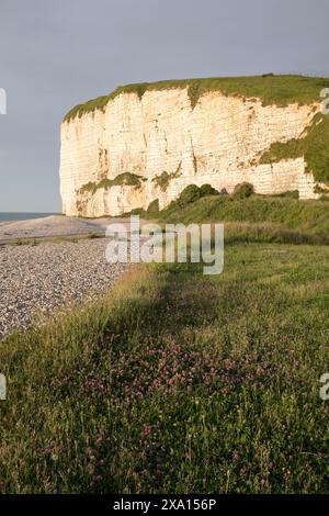 Chalk Cliff at Veulettes sur Mer Normandy France Stock Photo