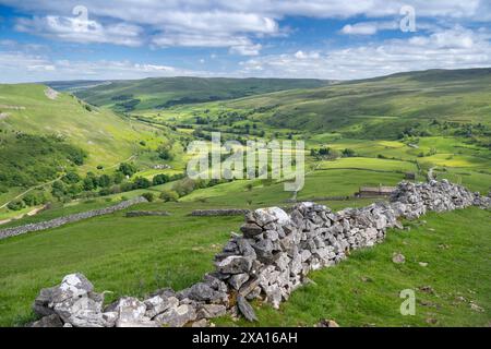 Looking down Swaledale from Kisdon Hill from above Muker in early summer. Yorkshire Dales National Park, UK. Stock Photo