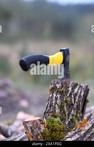 An axe cutting down a tree Stock Photo