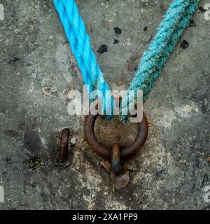 A rope with a hook and ring attached. Stock Photo