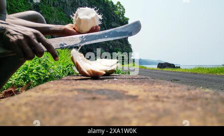 View of an African man with a machete cutting a coconut.Sao Tome,Africa Stock Photo