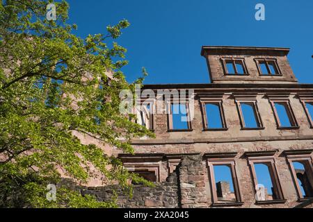 the Castle of Heidelberg located in Germany Stock Photo