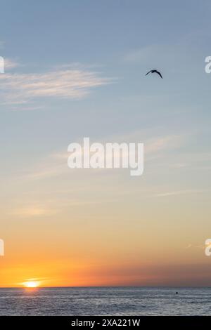 Incredible sunrise with the sun rising over the horizon with a bird flying overhead and an orange sky with the blue of the calm sea. Stock Photo