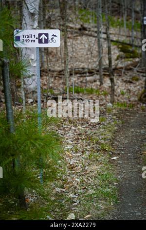 Trail sign on a mountaintop in the forest, indicating directions Stock Photo