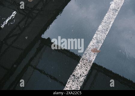 Two white stripes on asphalted street reflecting buildings Stock Photo
