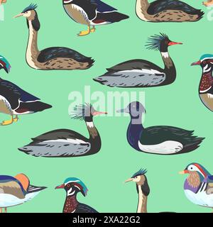 Seamless pattern with waterfowl, different types of ducks and grebe. Vector illustration Stock Vector