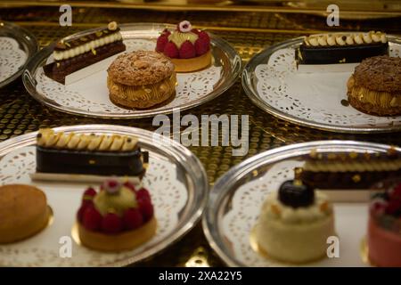 Various pastries and desserts on display on trays Stock Photo